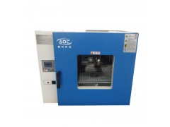 安徽電熱鼓風干燥箱