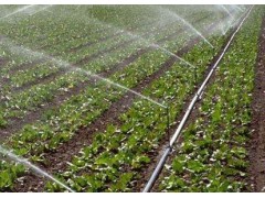 任丘市南瑞節水灌溉有限公司，河北任丘節水灌溉設備廠家